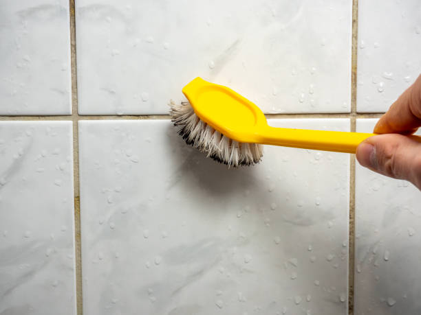 Best Home Mold Removal  in Bakersfield, CA