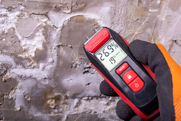 Best Fast Mold Removal  in Bakersfield, CA